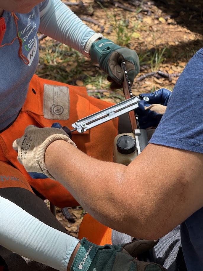 Two pairs of hands wearing heavy-duty safety work gloves collaborate to sharpen a chainsaw chain with a manual metal filing guide outdoors. One person wears bright orange chainsaw chaps featuring a safety certification patch, while the other wears a blue shirt.